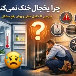 ChatGPT Image Feb 22, 2026, 02_02_31 AM